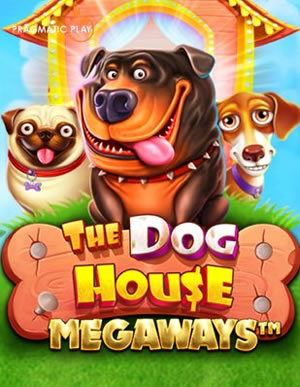 May Mắn Đại Cường