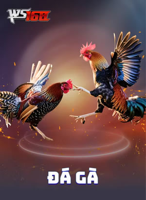 Xổ Số Miền Bắc Tinh Tế